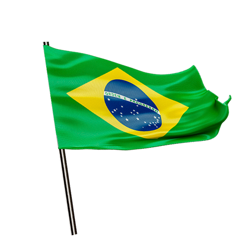 Bandeira Grande Personalizada